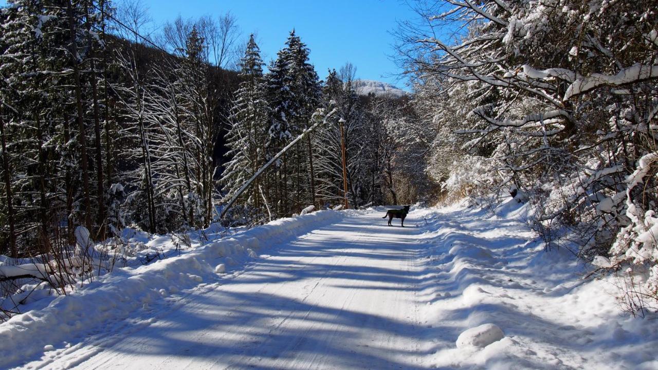 Fewo Talula - Sauerland Mit Hund Apartment Medebach Exterior photo