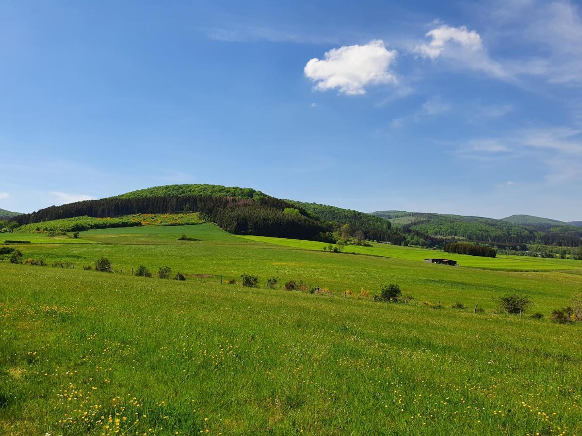 Fewo Talula - Sauerland Mit Hund Apartment Medebach Exterior photo