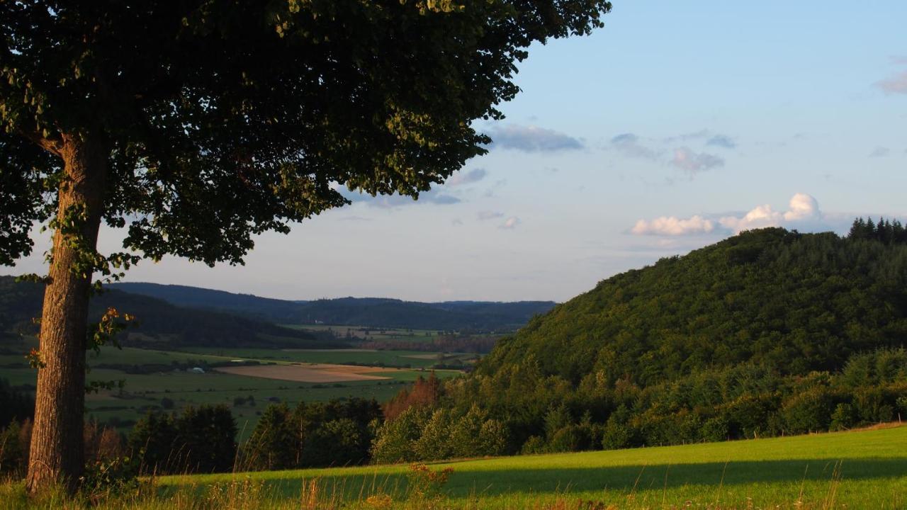 Fewo Talula - Sauerland Mit Hund Apartment Medebach Exterior photo