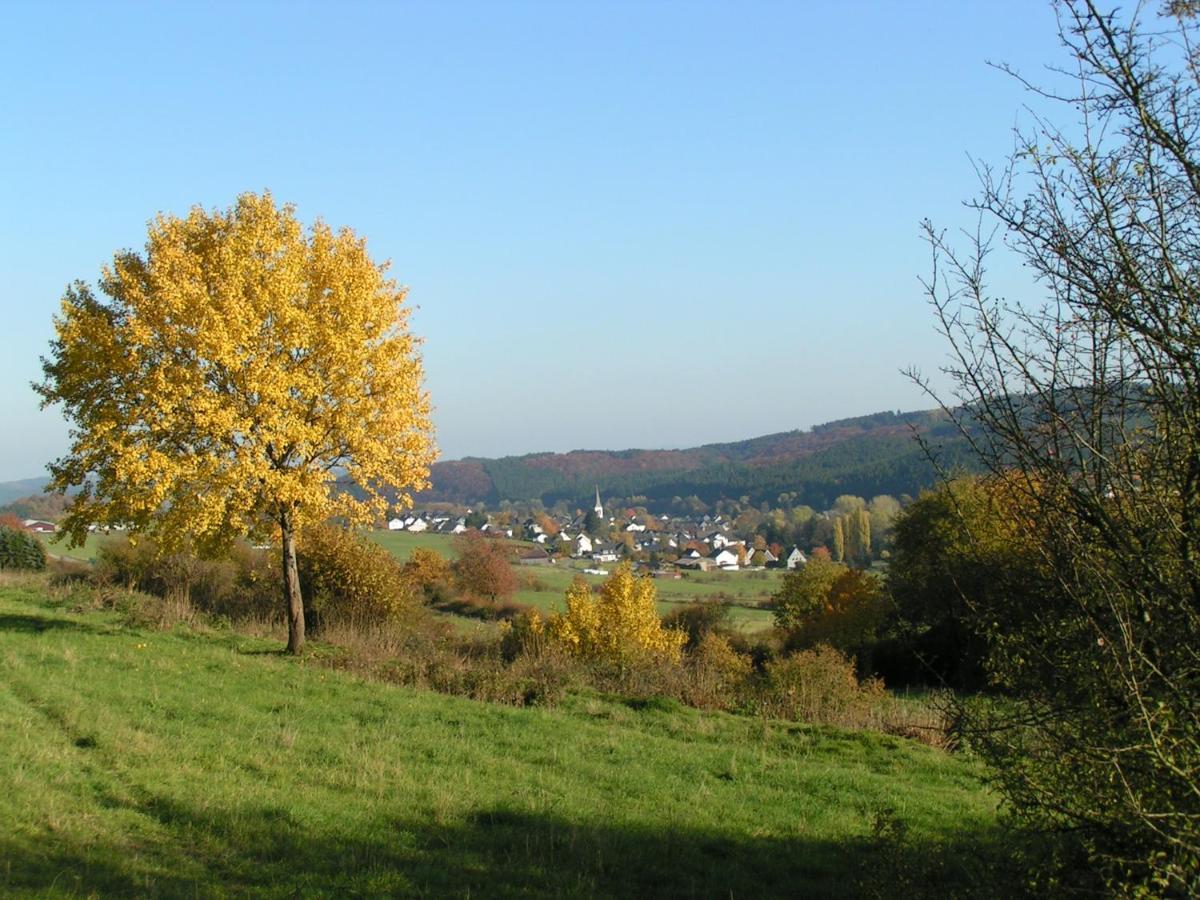 Fewo Talula - Sauerland Mit Hund Apartment Medebach Exterior photo