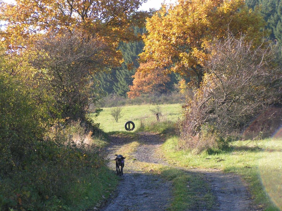 Fewo Talula - Sauerland Mit Hund Apartment Medebach Exterior photo